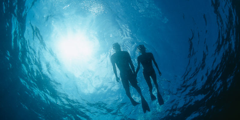 Immersioni e snorkeling