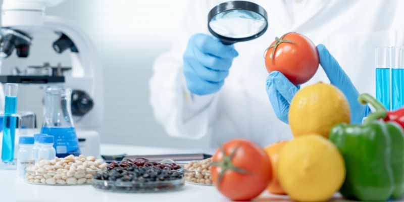 Ottenere la certificazione HACCP a Monsummano Terme: tutto ciò che devi sapere