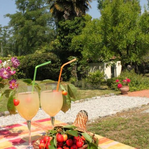 CUCINA TIPICA LOMBARDA A SAN FELICE DEL BENACO