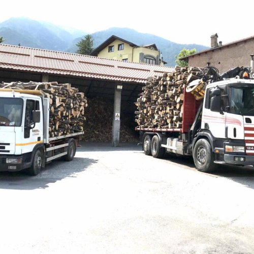 MANUTENZIONE DEL VERDE E ABBATTIMENTO PIANTE PERICOLOSE A SUSA