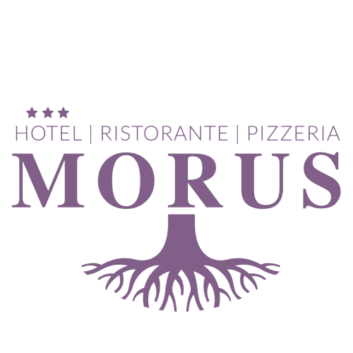 HOTEL A BURAGO DI MOLGORA 