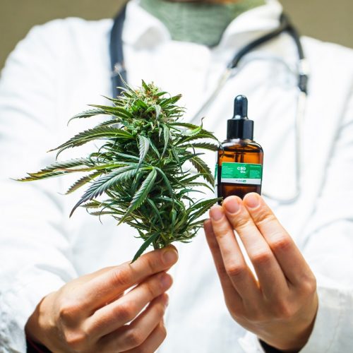 CANNABIS TERAPIA A TORINO