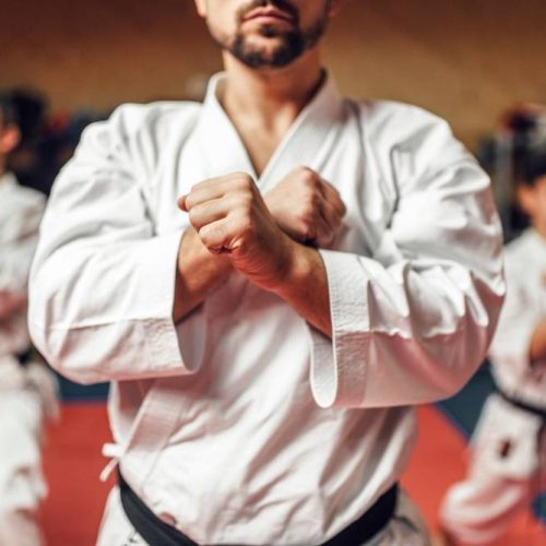 Corsi di Kung Fu a Monza e Brianza