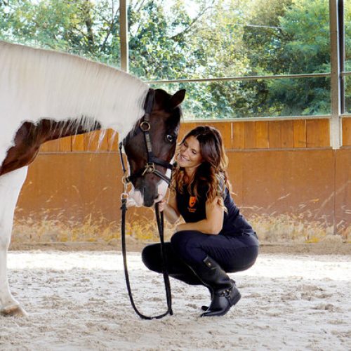 COACHING CON CAVALLI A TREVISO