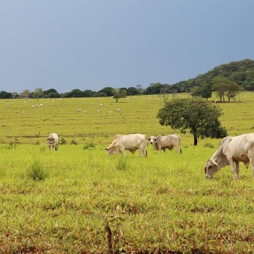 Fiera del settore agroalimentare a Casole D’elsa