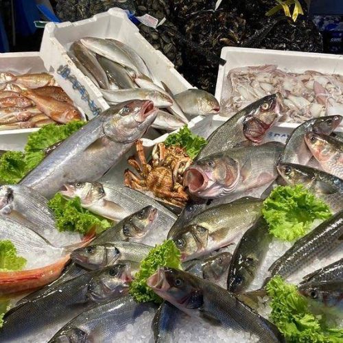 Forniture di pesce fresco per ristoranti Venezia