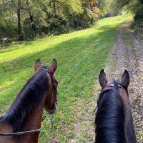 Passeggiate a cavallo Arcisate