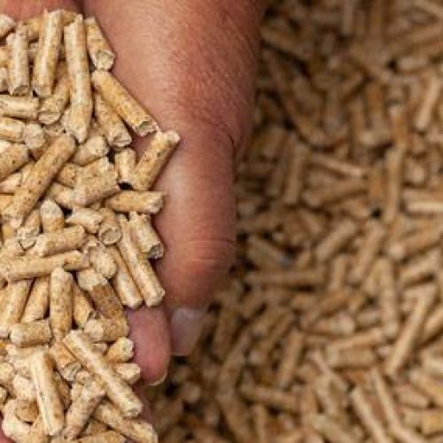 Pellet naturale all’ingrosso Terni