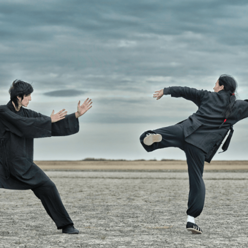 KUNG FU A FAENZA