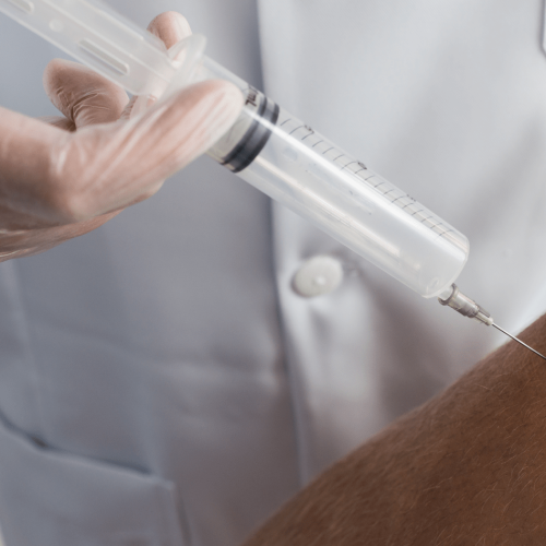 Ozonoterapia a Ciriè