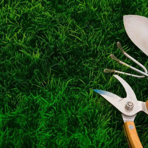 I Migliori Servizi di Giardinaggio a Rimini: Trasforma il Tuo Spazio Verde