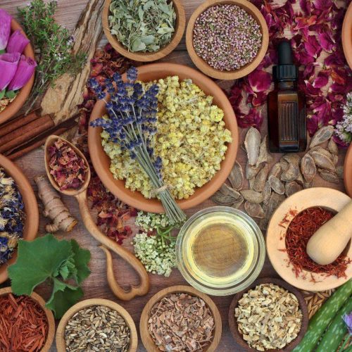 Naturopata Milano Centro: Il Percorso Verso il Benessere Naturale