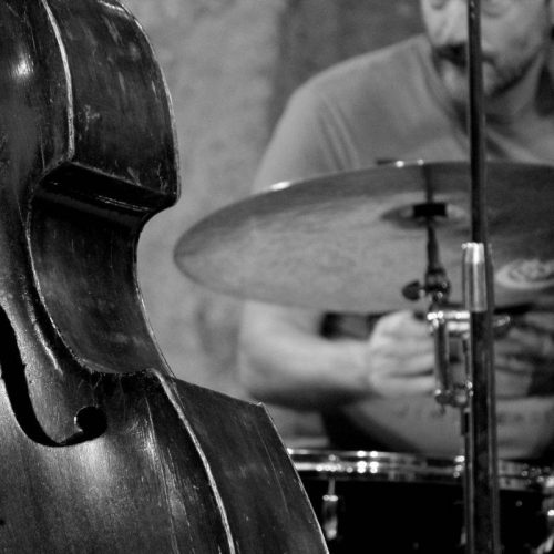 Consulenza Musicale a Senigallia: Come Scegliere il Professionista Giusto