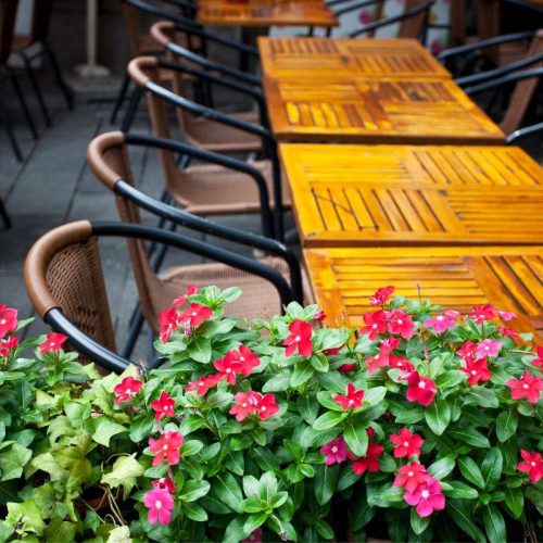 Un’oasi di gusto: Scopri il Ristorante con Giardino a Imperia