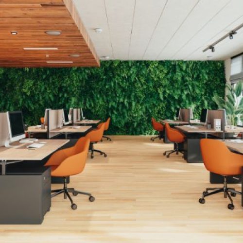 Uffici co-working a Vicenza: la soluzione flessibile per professionisti e aziende