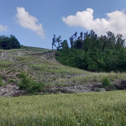 GEOLOGIA AMBIENTALE BOLOGNA
