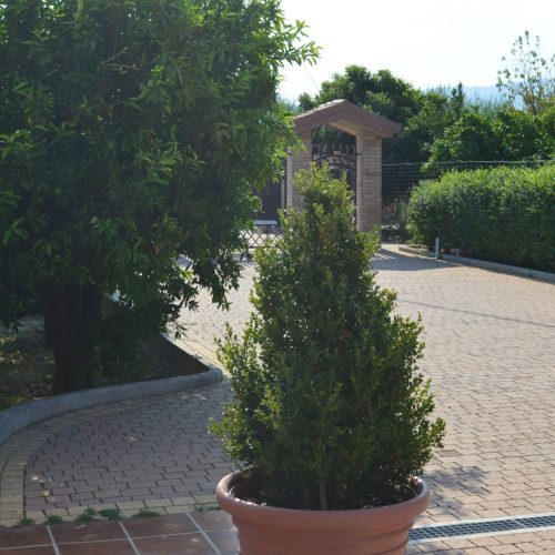 AGRITURISMO A BISIGNANO 