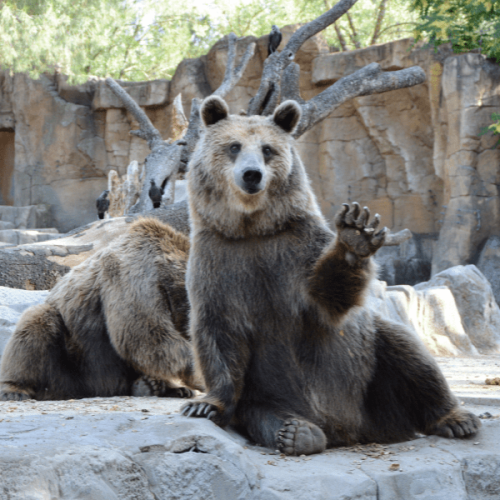 B&B vicino zoo di Fasano a Acquaviva delle Fonti