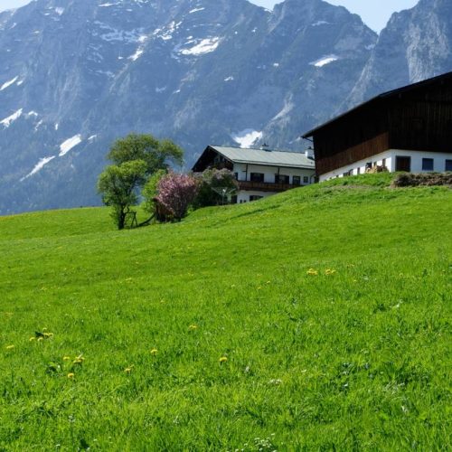 Agriturismo “U” Muinettu: Un Rifugio Immerso nel Verde a Levanto