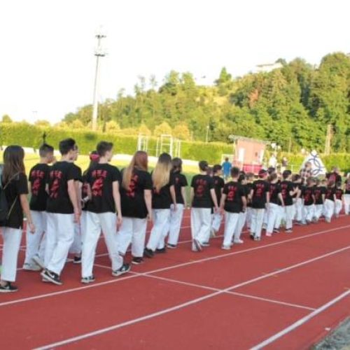 TAEKWONDO AGONISTICO ARZIGNANO