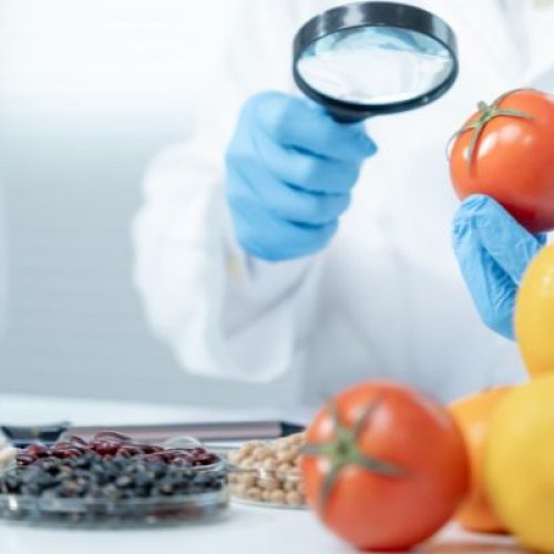 Ottenere la certificazione HACCP a Monsummano Terme: tutto ciò che devi sapere