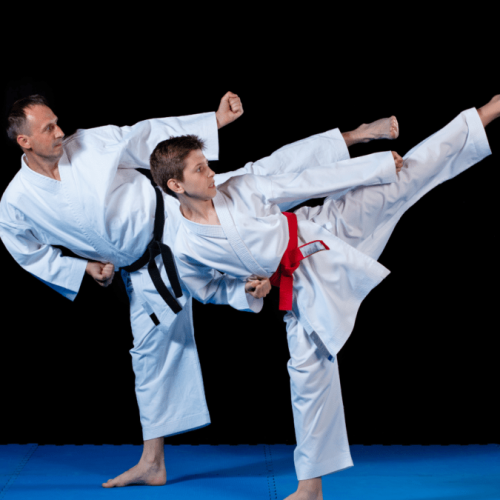 CORSI DI CAPOEIRA A TREVISO 