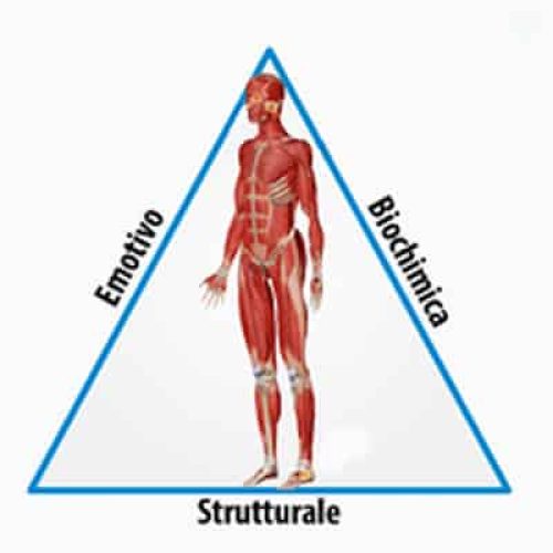 Test Muscolari in Lombardia