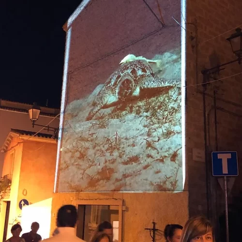 Noleggio ledwall in Sardegna