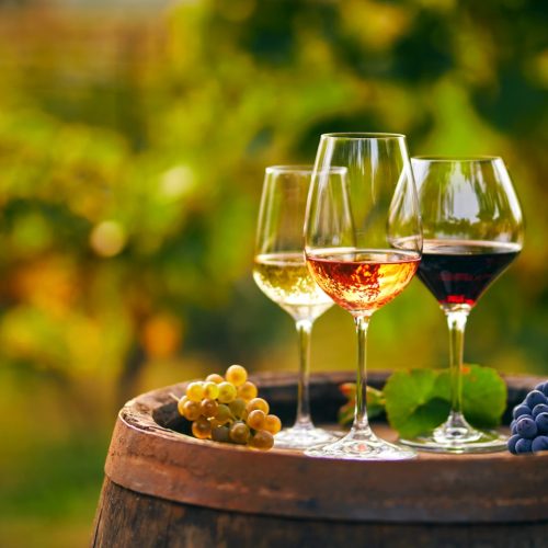 DEGUSTAZIONI DI VINO A TORINO